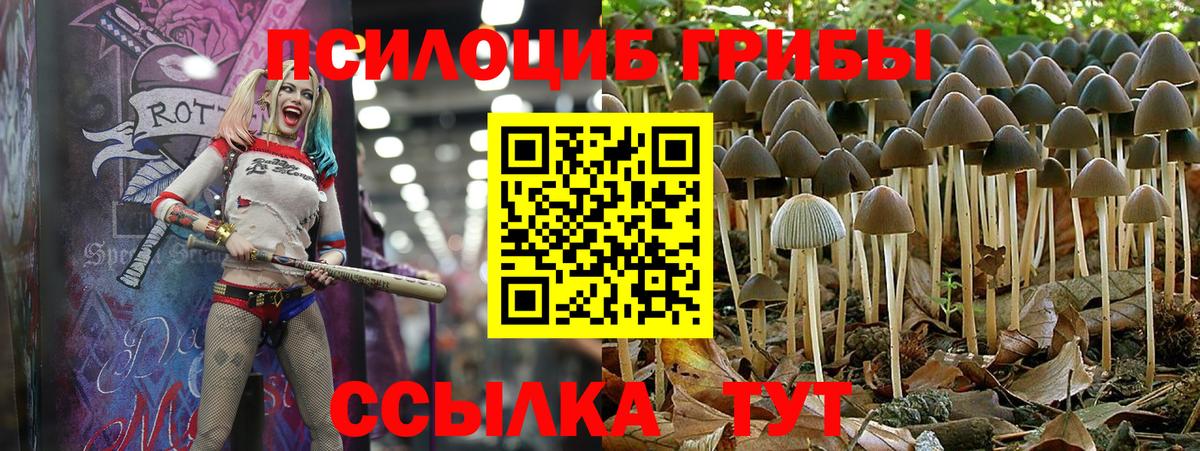Галлюциногенные грибы мухоморы  Галлюциногенные грибы MAGIC MUSHROOMS  Кызыл  Вход с VPN 